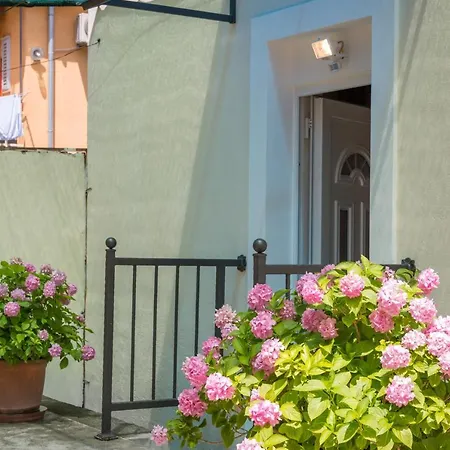 Petite Apartment Split